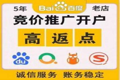 某企业SEM竞价员如何应对竞争的案例研究